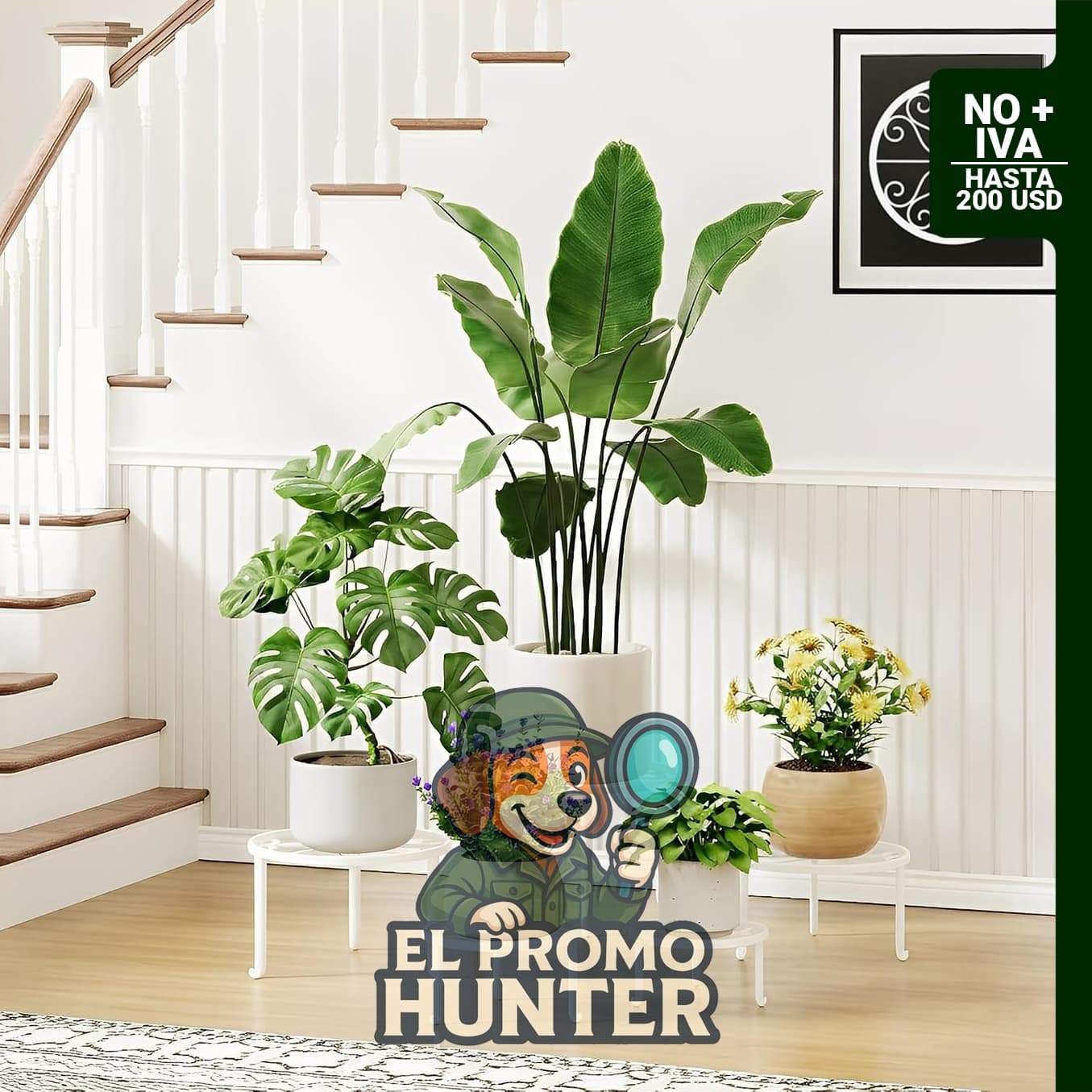 Soportes Metálicos para Plantas NQW, pack de 5, capacidad hasta 61 kg.