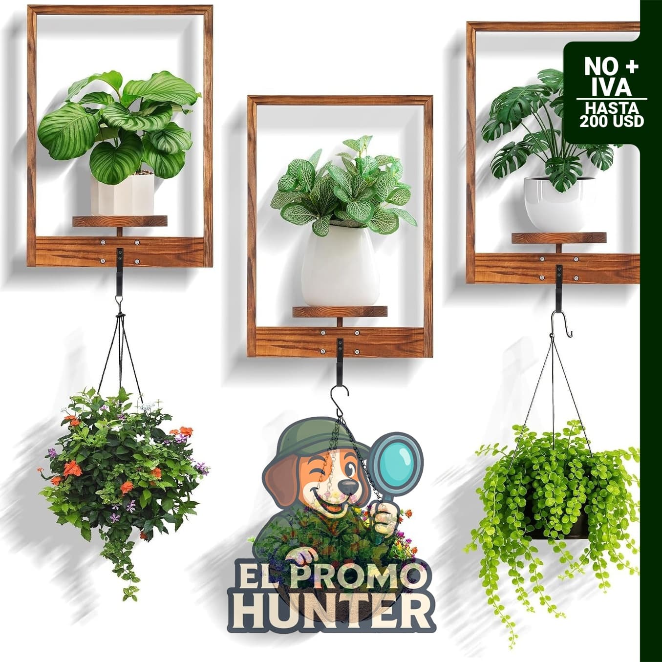 Paquete de 3 macetas de pared para plantas de interior con marco de madera maciza y ganchos de soporte.