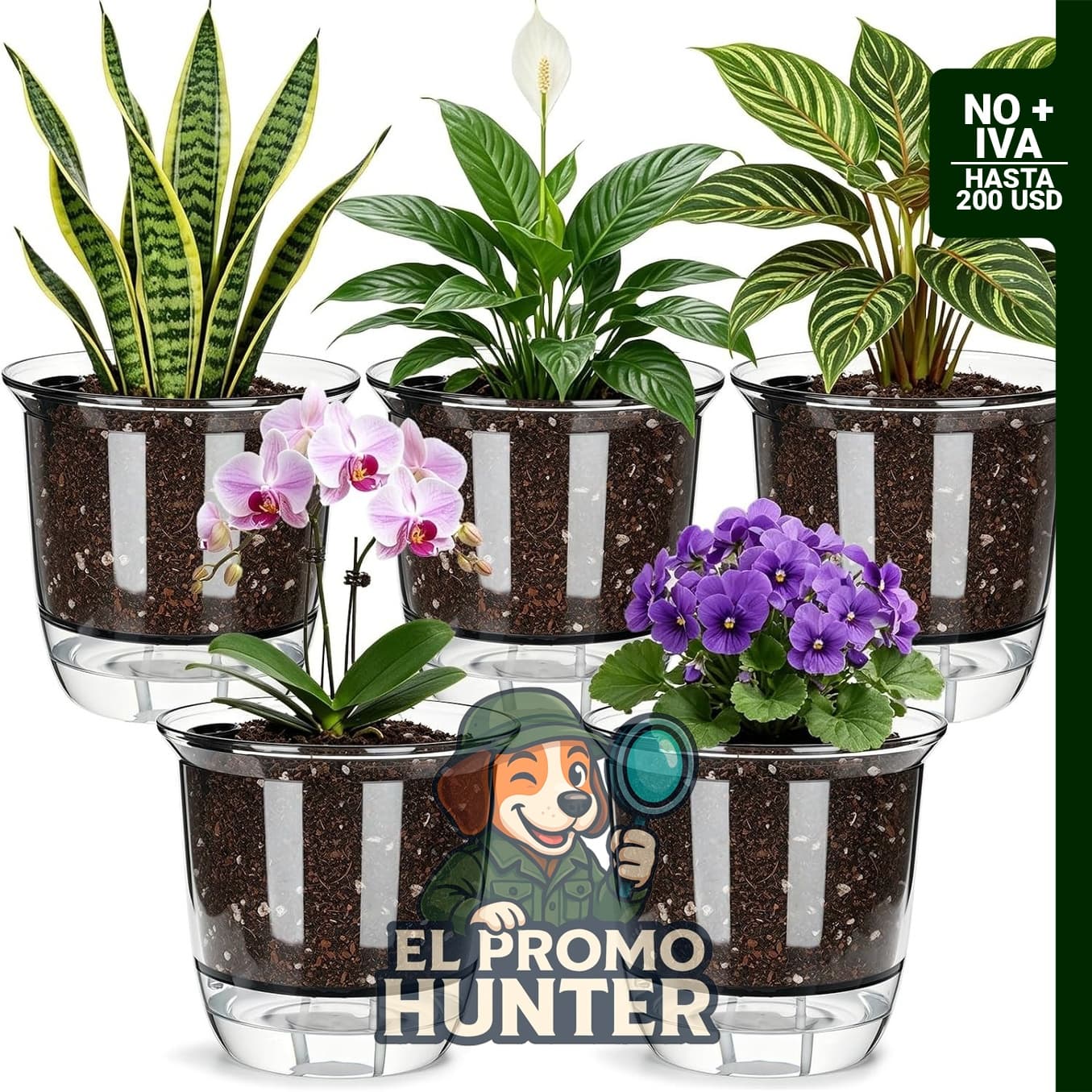 Juego de macetas de autorriego, maceta transparente para plantas de interior.