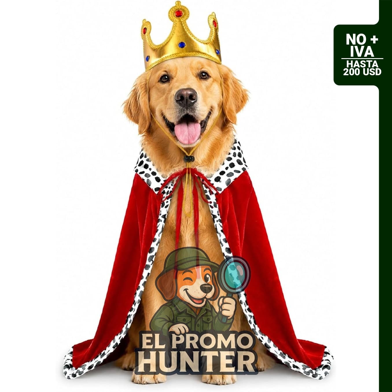 Disfraz de Halloween para perros grandes, incluye accesorios.