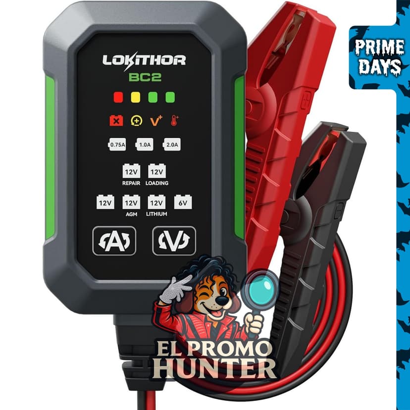 LOKITHOR Cargador de batería de coche BC2 6V/12V, corrientes ajustables 2A.