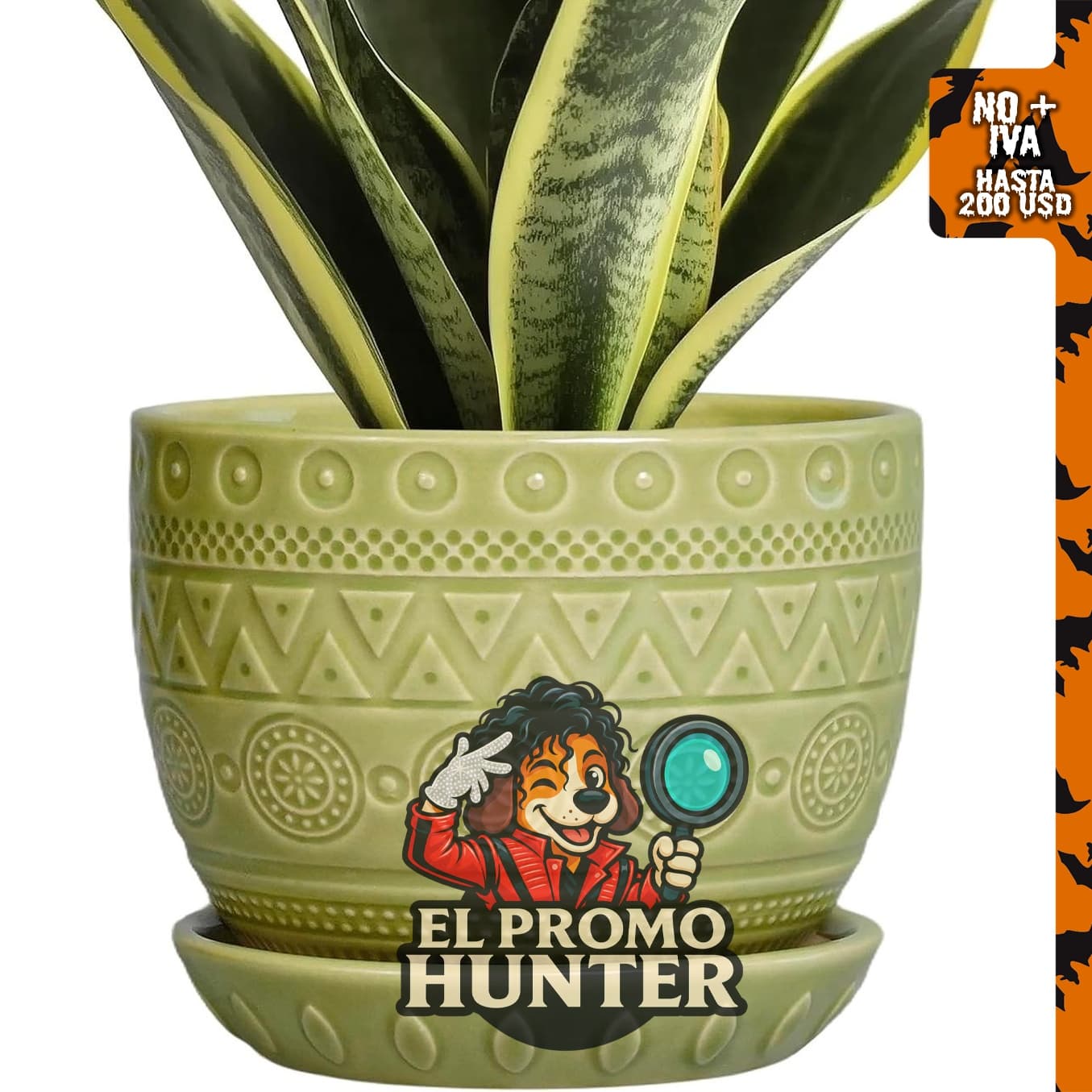 Maceta de cerámica G EPGardening de 5.5 pulgadas (14 cm) en color verde.